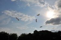 mDSC_0175