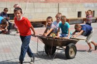 mDSC_0491