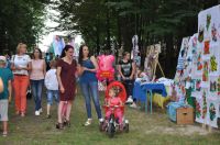 mDSC_1356